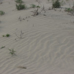 Sand at Palm Desert